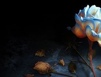 《陌上花开缓缓归》的句子