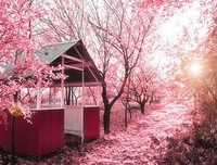 熙熙攘攘的句子