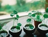 婆婆抱怨媳妇懒，儿媳妇只说了10句话，火爆朋友圈！