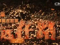 《和凤鸣》经典观后感集