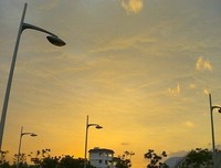 《女人帮》观后感精选10篇
