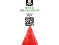 《菠萝快车》观后感精选10篇