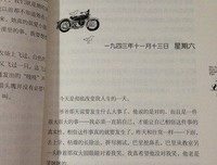 《寻猫奇遇记》经典读后感10篇