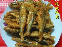 《白鱼解字》读后感精选10篇