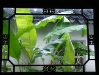 雨向样芭蕉经典的句子
