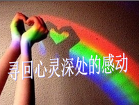 “永远不要因为感动而去爱一个人”