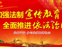 《不 后悔 》的观后感10篇