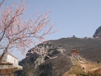 充实与成功