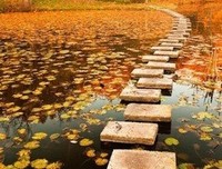 生活里的一切“结”，无非是心头的“结” ｜婵琴