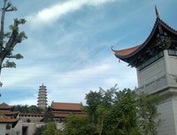 随想的优美句子