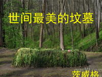 马来狂人读后感10篇