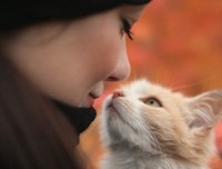 《恋 书 香。》的句子