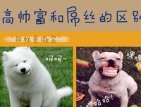 quot; 6种方法教你七夕脱单 quot;