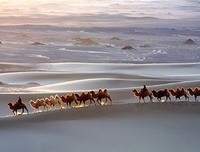 逻辑十九讲的读后感10篇