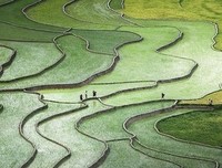 播种阳光暑期实践团开展世界地理小课堂