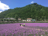 实录：一个多次出轨的男人内心独白