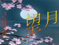 枫便可对学忆经典的句子