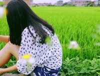 不複雜也不簡單的优美句子