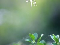 不染红尘的句子