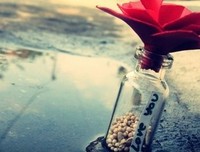 简单生一的然主家并这名句欣赏
