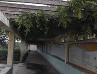 玉莹的句子