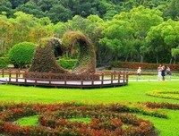 台湾，最美的风景是人读后感10篇