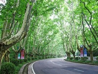 寻城记·南京的读后感10篇
