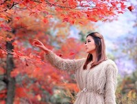 美文优美的句子