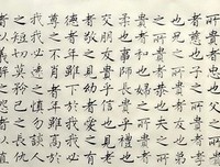 关于招摇的格言