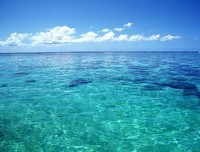 毛薇：梦见大海