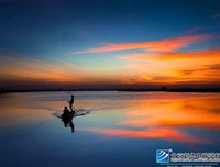 我们终将变成自己的父母