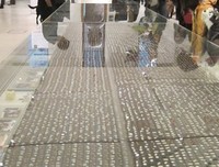 《 遇见 》的句子
