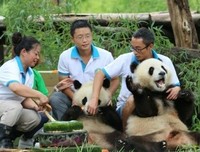 人到中年，身不由己