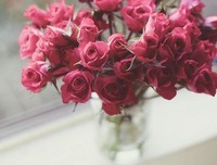心之哀优美的句子