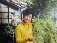 关于向松的格言