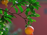 2018茅盾的名句