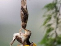 你若安好，我便是晴天