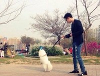 《我的爱》的句子