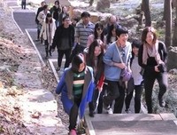《风之恋》影评10篇