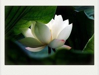曾国藩：这三件事最易折福，千万要避免