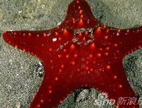 最悲哀的不是房租上涨了，而是工资没涨