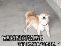 小缘的语句摘抄_关于小缘的语句