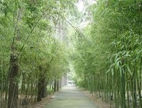 有关芭芭拉·安吉丽的美句摘抄