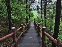《定军山》观后感10篇