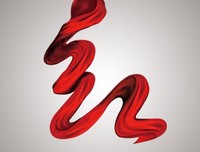 最全的《红字》经典语句大全