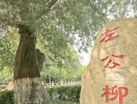 读破一片心