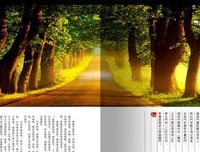 再见青春