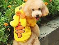 随缘优美的句子