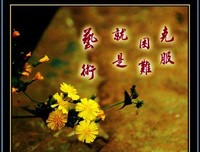 有人会样作教训有人月了你成长*经典名句