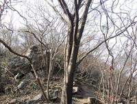 爱她就该珍惜她